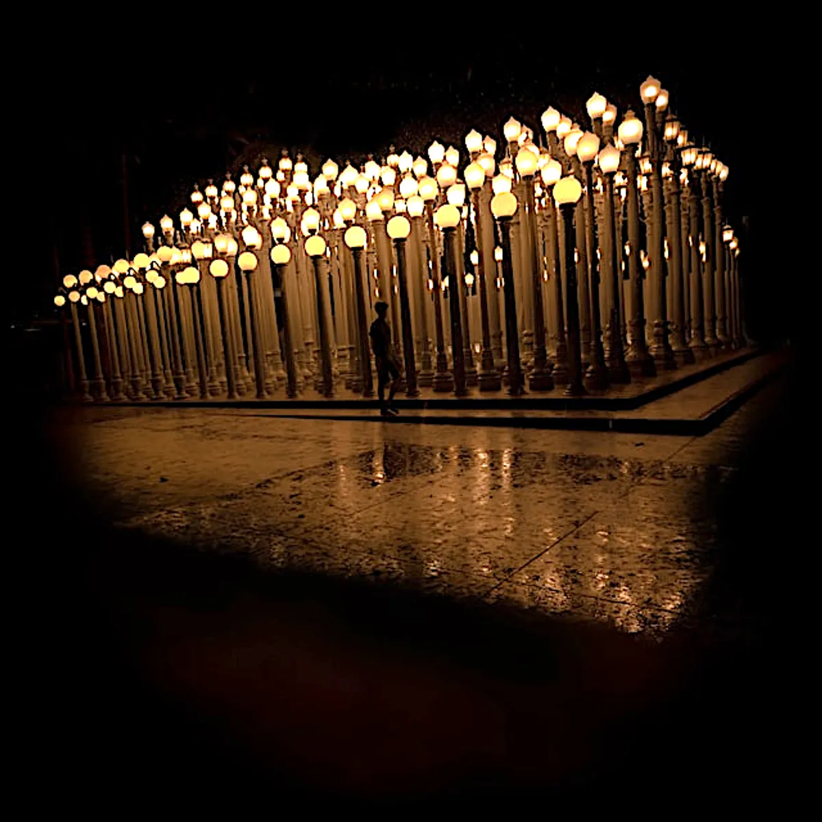Urban Light at LACMA – LA’s Most Instagrammed Landmark - Norah Bird Travel